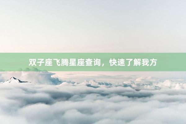 双子座飞腾星座查询，快速了解我方