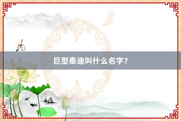 巨型泰迪叫什么名字？